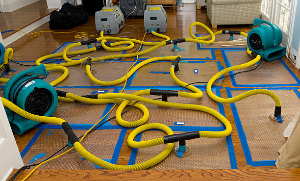 Professional Basement Flood Cleanup technician working in Ona, WV